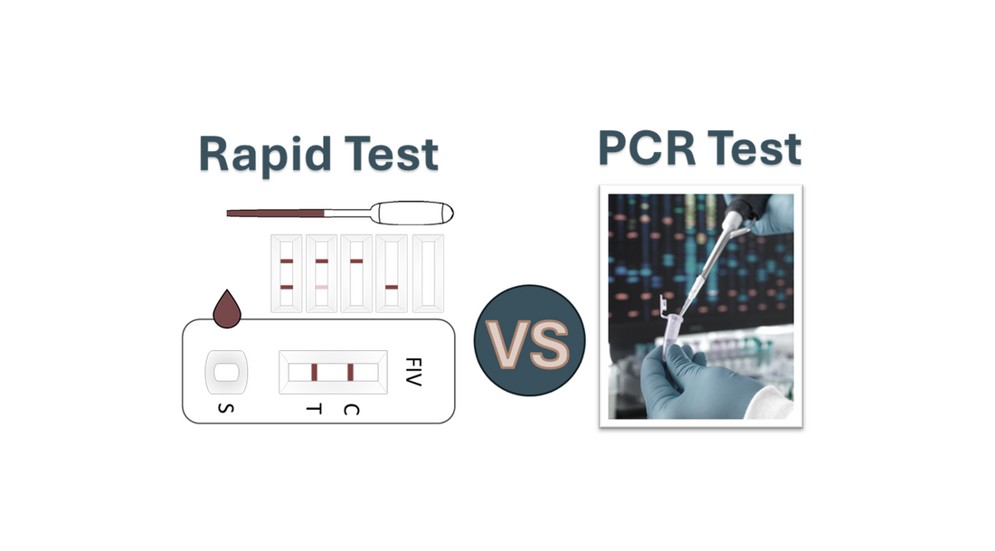 Advantages and Disadvantages of Rapid Tests Compared to PCR